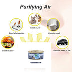 Organic Wood Air Freshener Can